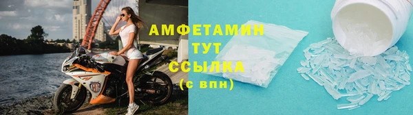 стаф Богданович