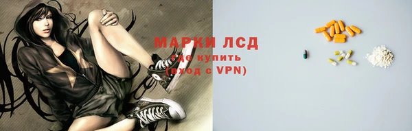 стаф Богданович