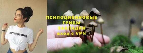 молекула духа Бородино