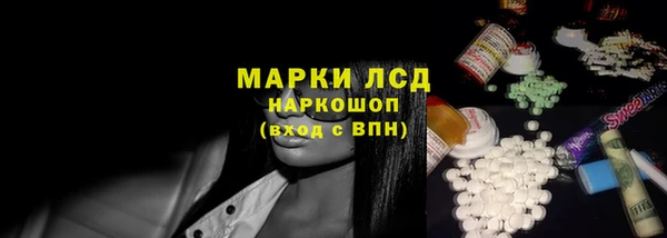стаф Богданович
