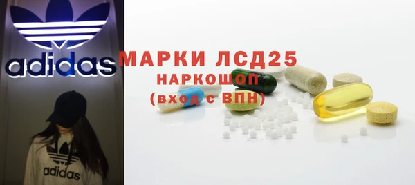 прущие грибы Бугульма