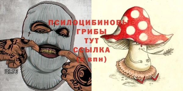 mix Богородицк