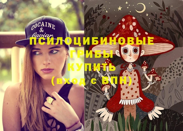 apvp Бронницы