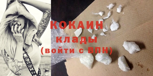 mix Богородицк