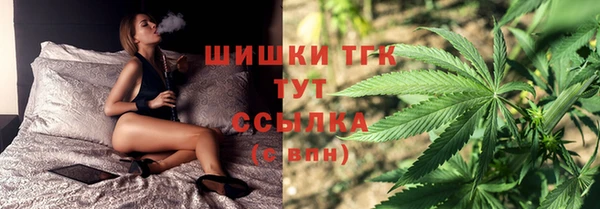 прущие грибы Бугульма