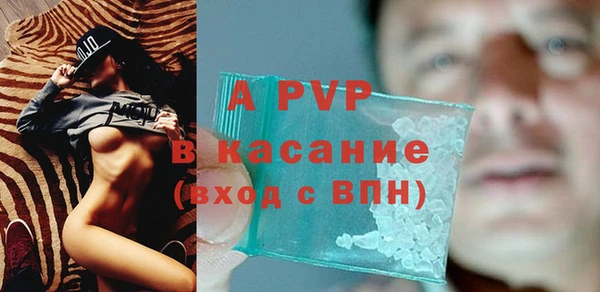 стаф Богданович