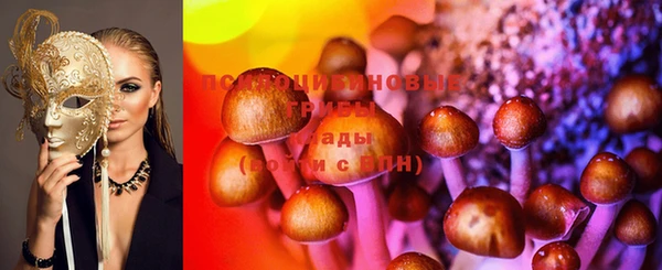 mix Богородицк