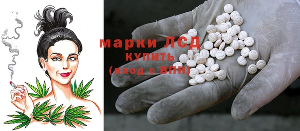 молекула духа Бородино